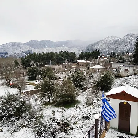 Lilaia's View